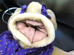 wrinkles purple b
